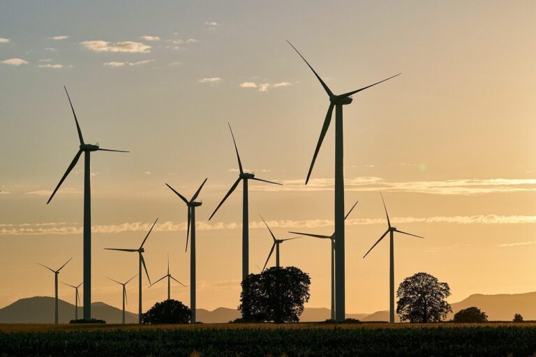 pinwheels, energy, electricity, renewable, wind energy, sunset, wind farm, dusk, trees, nature, landscape