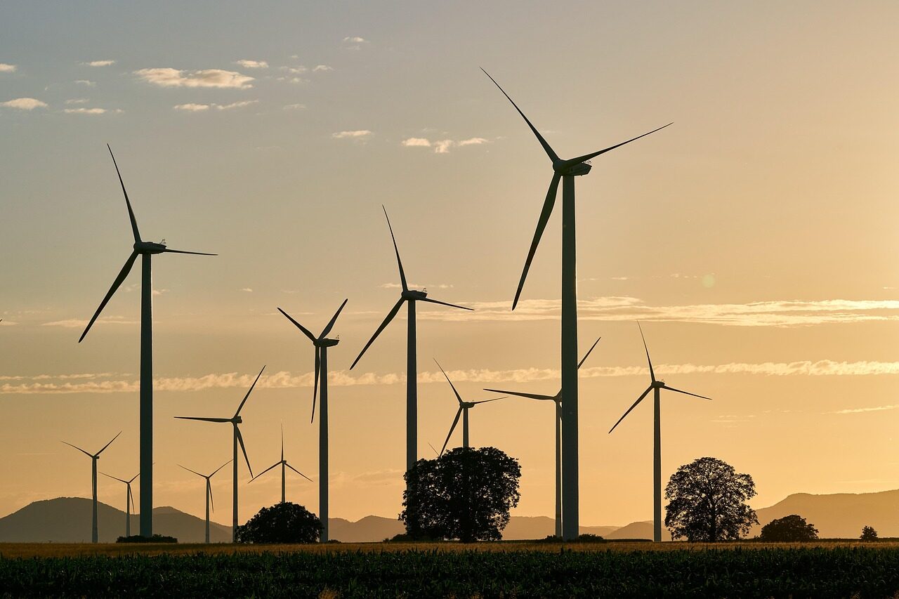 pinwheels, energy, electricity, renewable, wind energy, sunset, wind farm, dusk, trees, nature, landscape